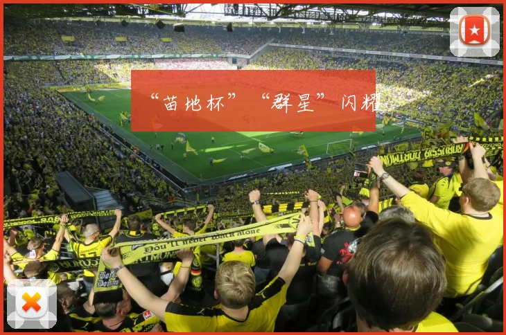 “苗地杯”“群星”闪耀